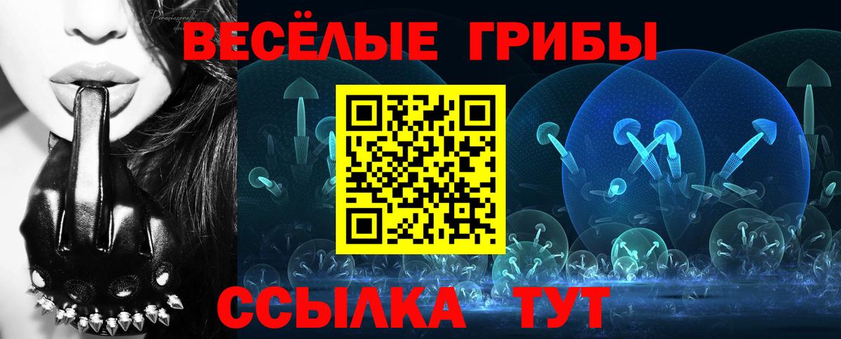 Псилоцибиновые грибы Psilocybe  Вход с VPN  Гурьевск 